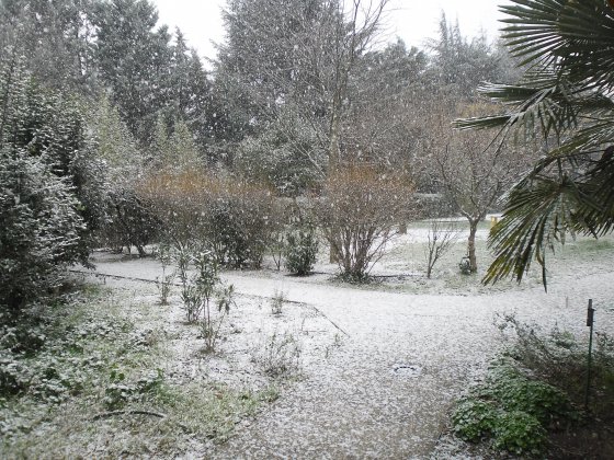 Snow in Anduze