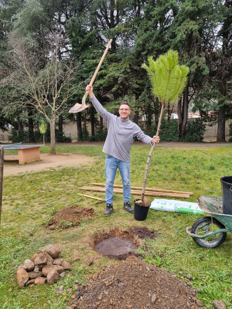 Plantation d'arbre au Val de l'Hort