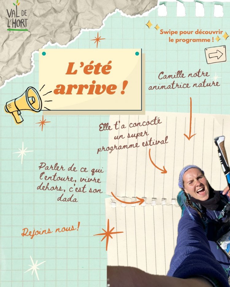Programme animations juillet 2026