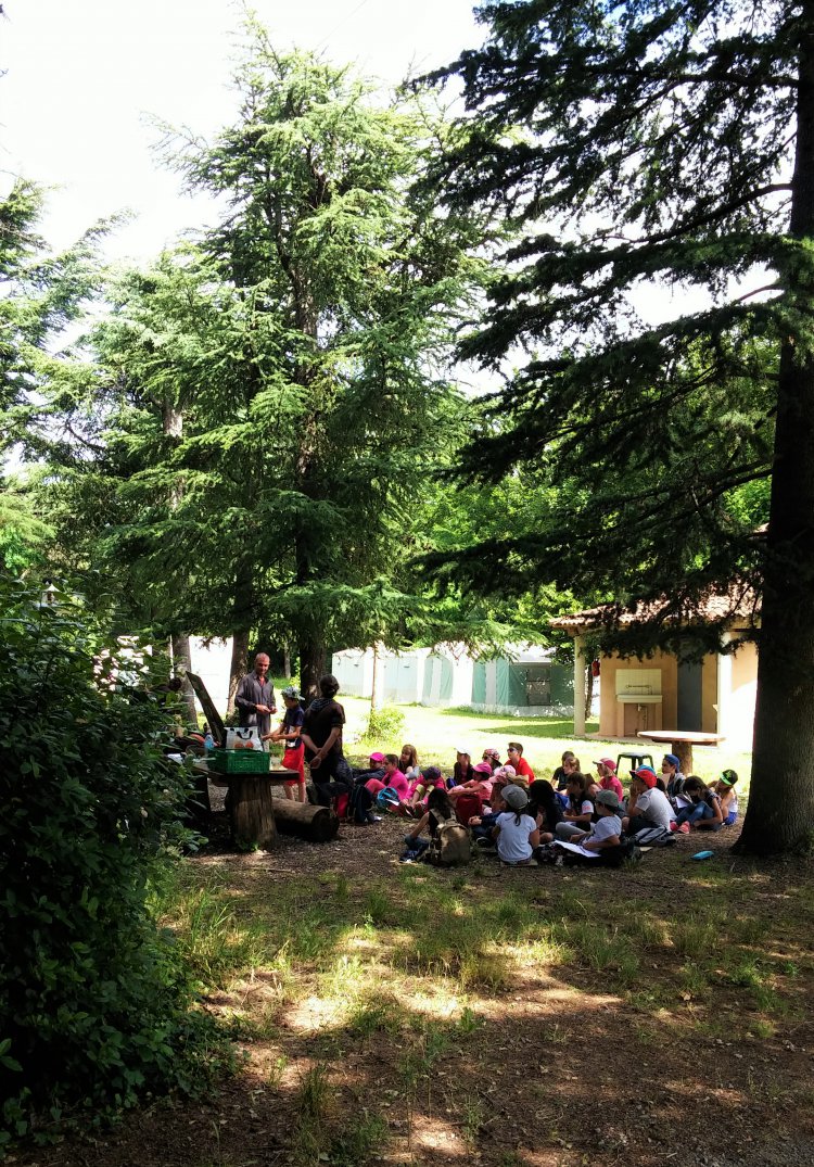 Le centre en activit Enfants dans le parc Val de l'Hort : 1477313774.20160613_102742.jpg