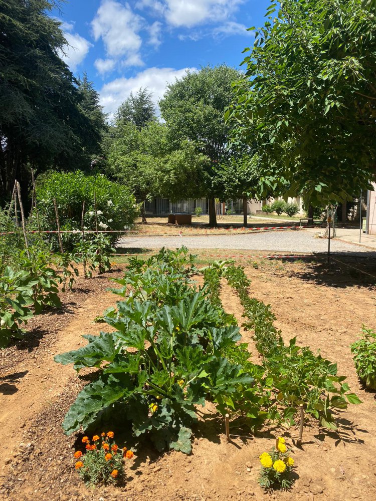 La Maison - les extrieurs Le potager du Val de l\'Hort : 1752849096.photo.de.camille.jpg