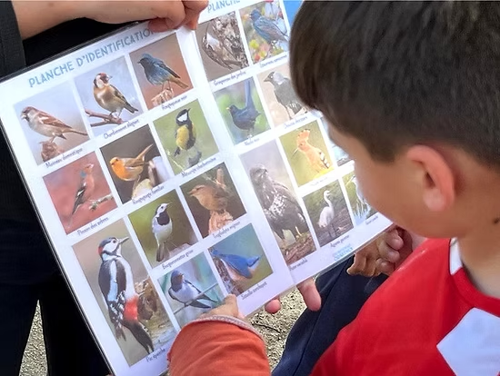 Séjour scolaire ornithologie Anduze val de l'Hort Séjour scolaire ornithologie Anduze val de l'Hort