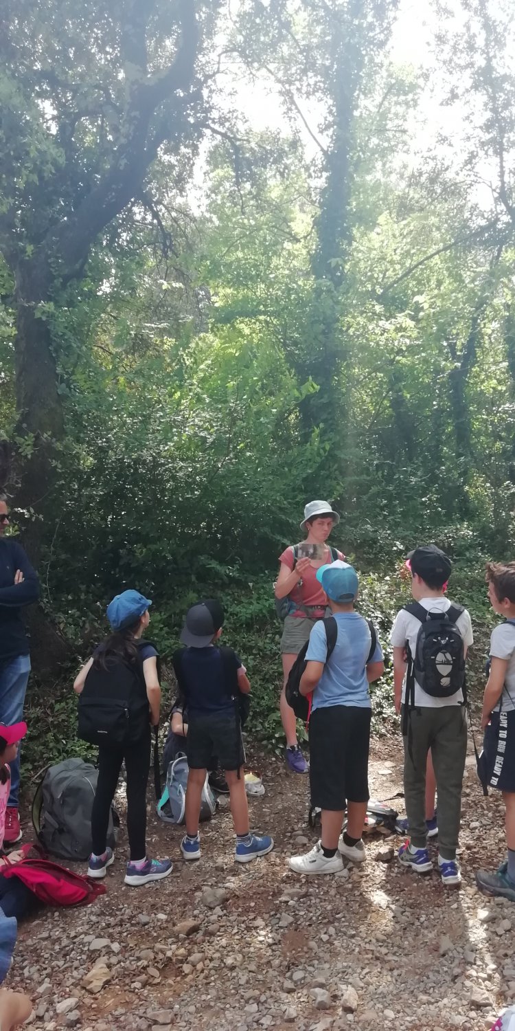 S�jour scolaire Nature